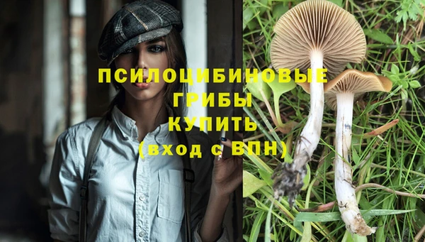 дмт Коряжма